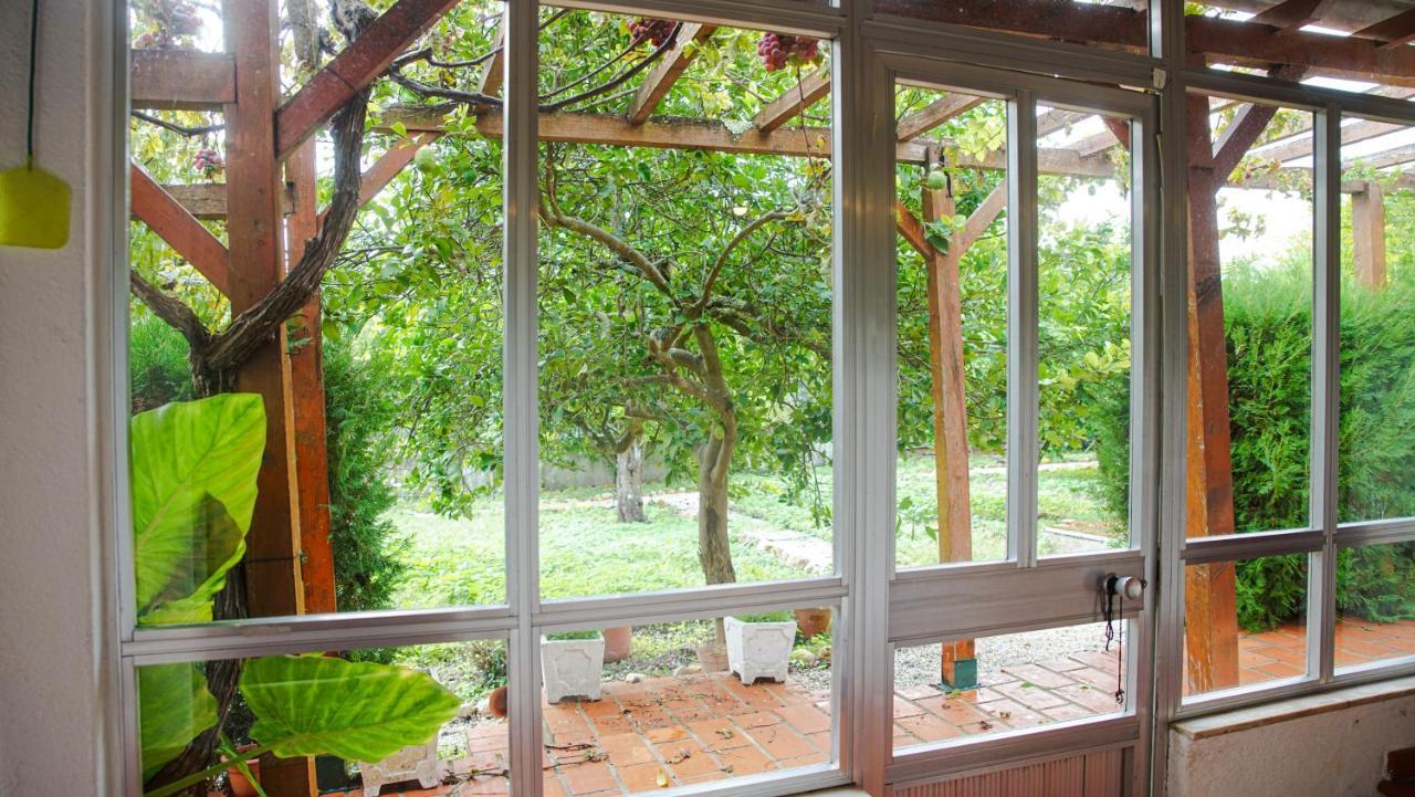 Willa Casa Do Avo Machado Abrantes Zewnętrze zdjęcie